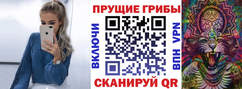 дарнет шоп  Уфа  Галлюциногенные грибы GOLDEN TEACHER 