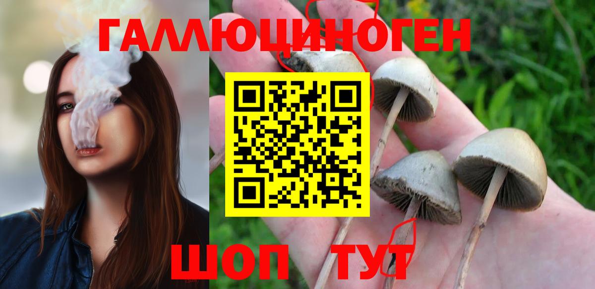 наркота  Вход с VPN  Уфа  Псилоцибиновые грибы GOLDEN TEACHER 